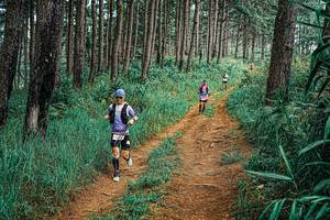 BIB: 
                            <button type="button" onclick="openModal(25714693)" class="btn btn-primary btn-sm float-right btn-popup" data-toggle="modal" data-target=".modal-high-quality">
                        <i class="fas fa-shopping-cart"></i> Add to Cart
                    </button>
                                            <button type="button" onclick="isThisMe(25714693, true)" class="btn btn-success btn-sm float-right btn-popup btn-isme hidden" data-toggle="tooltip" data-placement="bottom" title="นี่คือรูปของคุณใช่ไหม คลิกที่นี่เพื่อเอาเข้าอัลบั้ม">
                        <i class="fas fa-plus"></i> Add to album
                    </button>
                    <button type="button" onclick="isThisMe(25714693, false)" class="btn btn-warning btn-sm float-right btn-popup btn-isnotme hidden">
                        <i class="fas fa-ban"></i> Remove from album
                    </button>